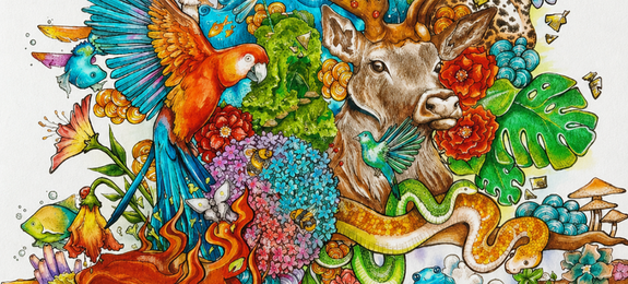 Student Artwork